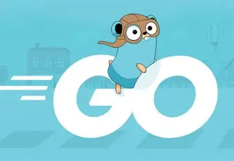 Featured image of post Golang