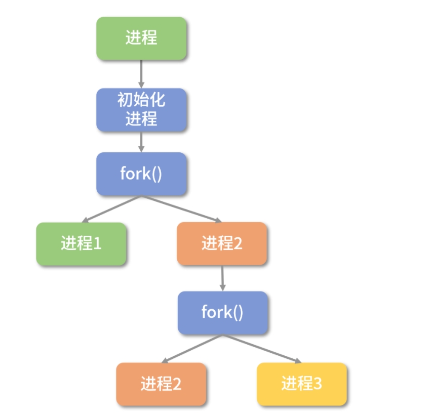 fork 进程示意图