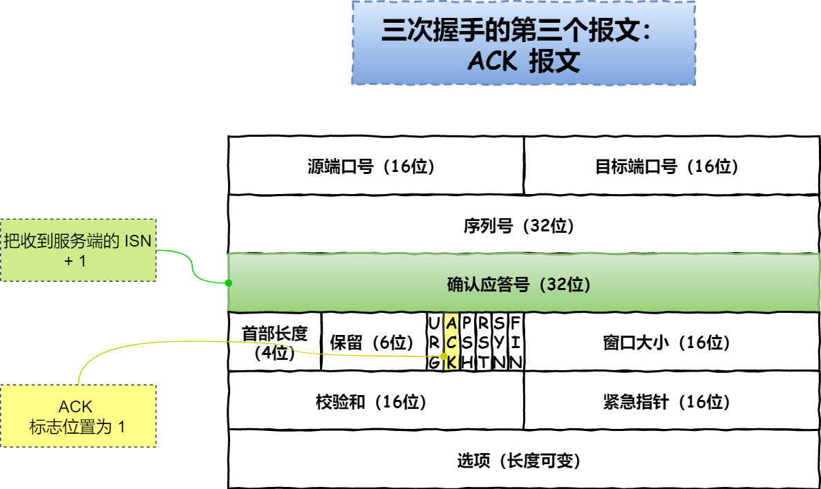 ACK报文结构
