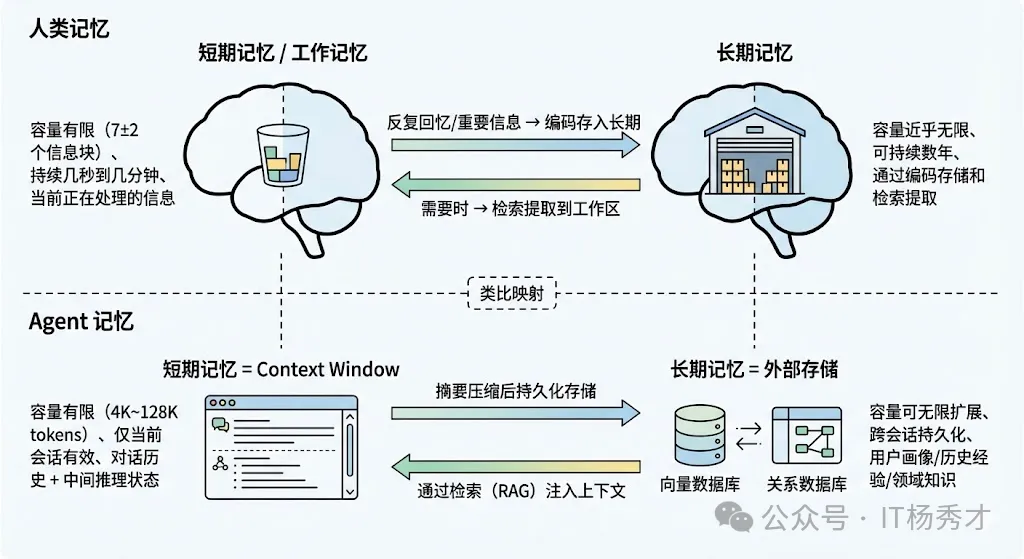 人类记忆的类比