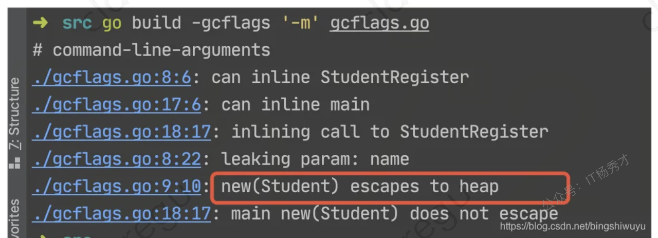 Go 编译器逃逸分析输出示意图
