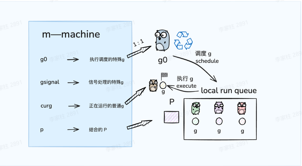 G的状态转移