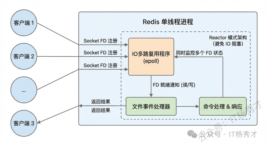 IO多路复用模型
